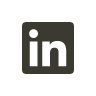 icon_in